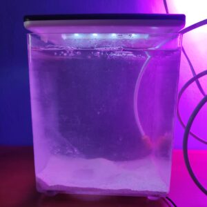artemia sera