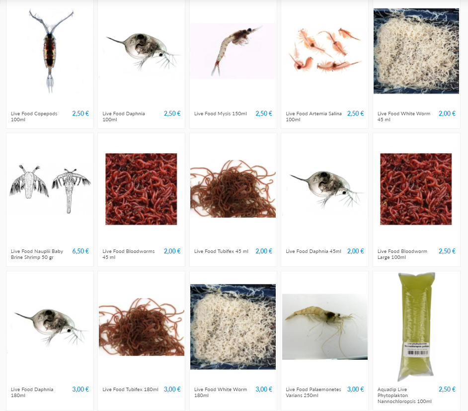 Copepods - Aquariumshop.gr