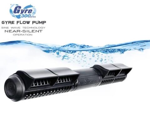 maxspect gyre 350