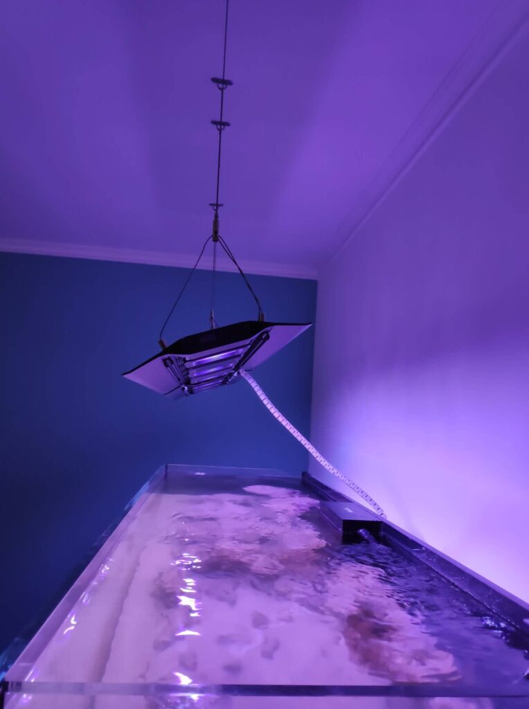 Tilt my reef lights – Yes or NO (2POVs)